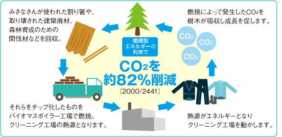 木質バイオマスの循環図